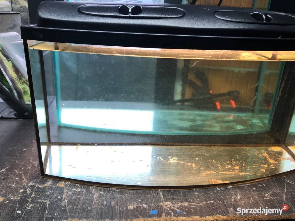Akwarium panoramiczne 80 pokrywa oświetlenie