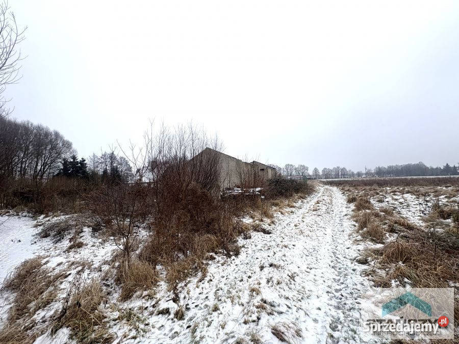 Działka Międzywodzie 1900m2 sprzedam