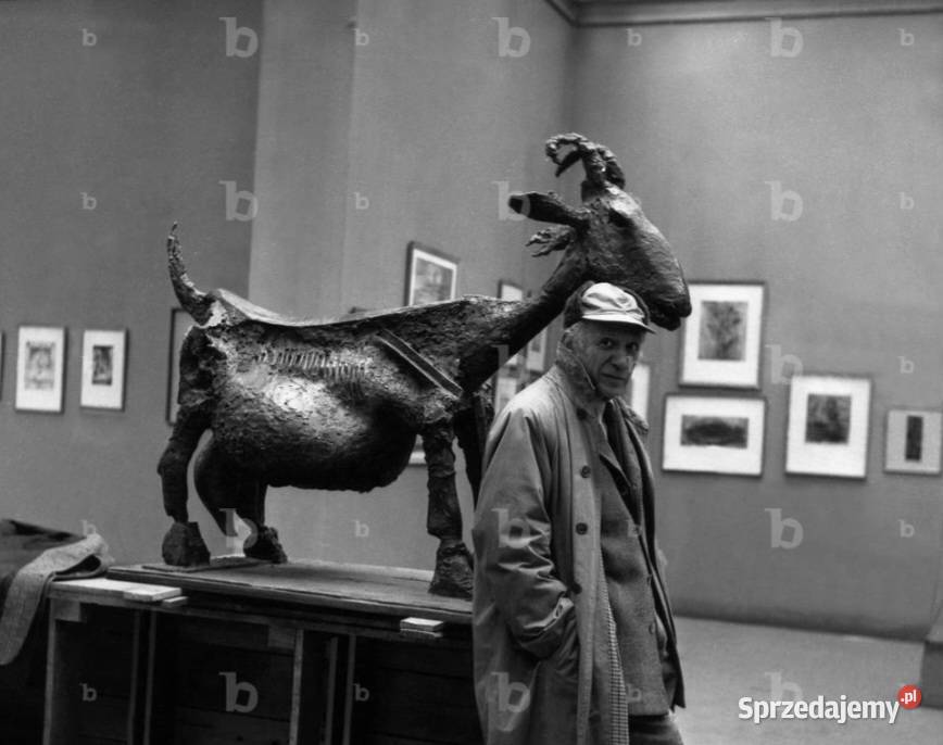 Mega Koń ze źrebakiem z brązu naturalnej Warszawa