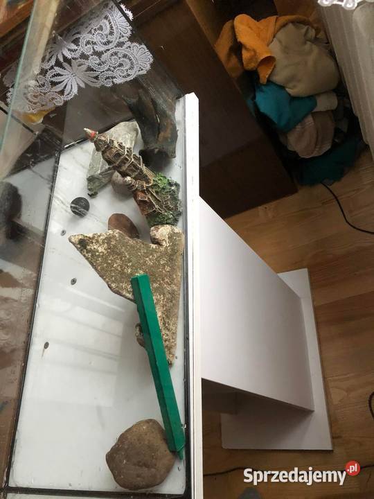 akwarium aquael 60l Księżpol