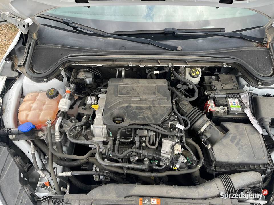 FORD Focus IV 10 Ecoboost 125 Titanium FE358 biały Wrocław