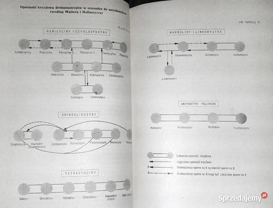 Podstawy antybiotykoterapii A Danysz J lubelskie Chełm