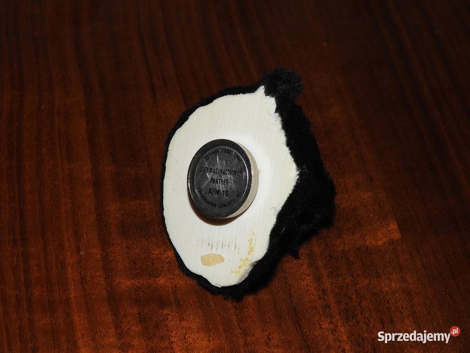 Pantera na magnes Przemyśl