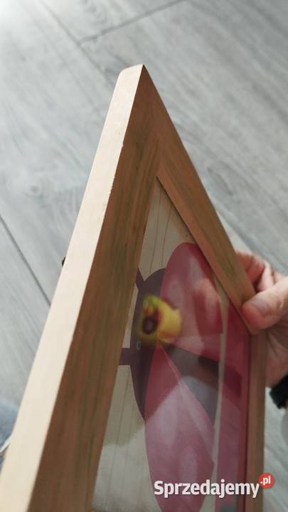 obraz obrazek dekoracyjny biedronka Poznań sprzedam