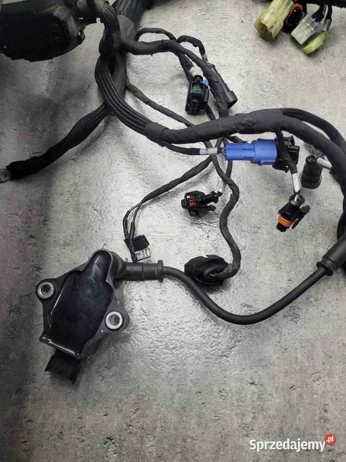 DUCATI MULTISTRADA 1260S S V2 OEM WIĄZKA Nowy Tomyśl sprzedam