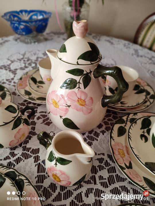 Serwis Willeroy Boch Wild Rose