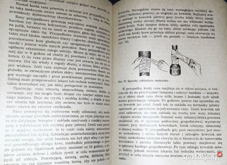 Zoohigiena Edward Szyfelbejn Chełm