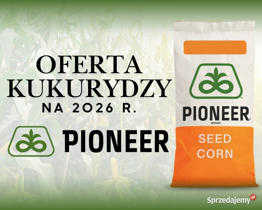 Nasiona kukurydzy Pioneer P8834 P8329 P8904 Zboża Łabiszyn sprzedam