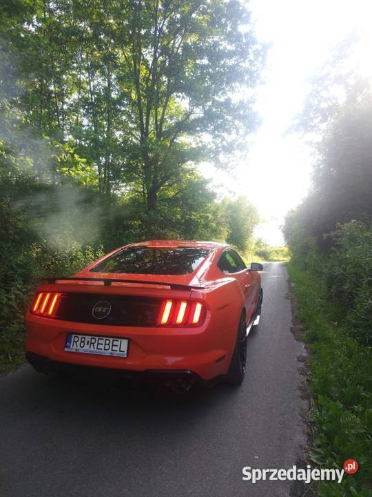 2016 Ford mustang 50 v8 california special Brzozów