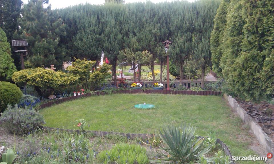 ogródek działkowy Grunty i działki Koziegłowy