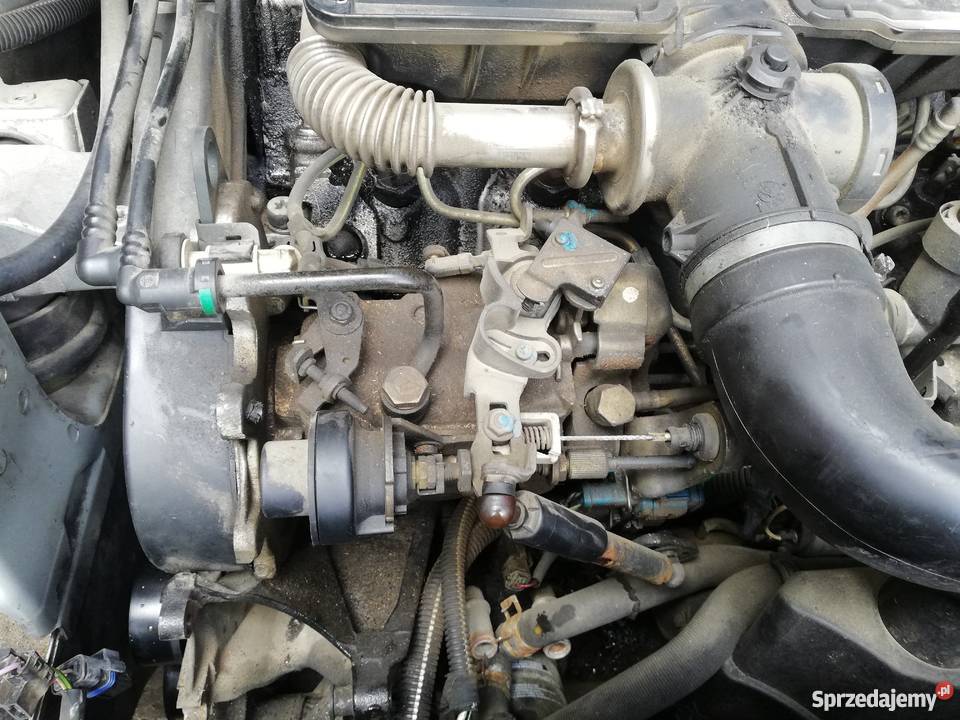Pompa wtryskowa silnik 19dw8 Bychawa sprzedam