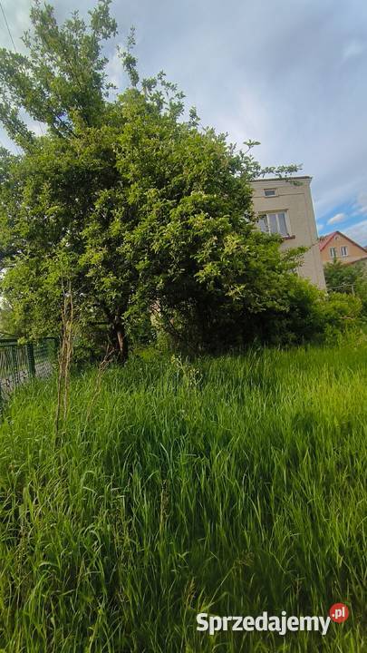 Do wynajęcia dom Sanok Wójtostwo metalowe podkarpackie