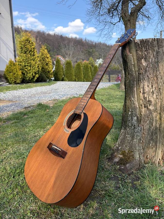 Gitara Akustyczna SAMICK Siedlec