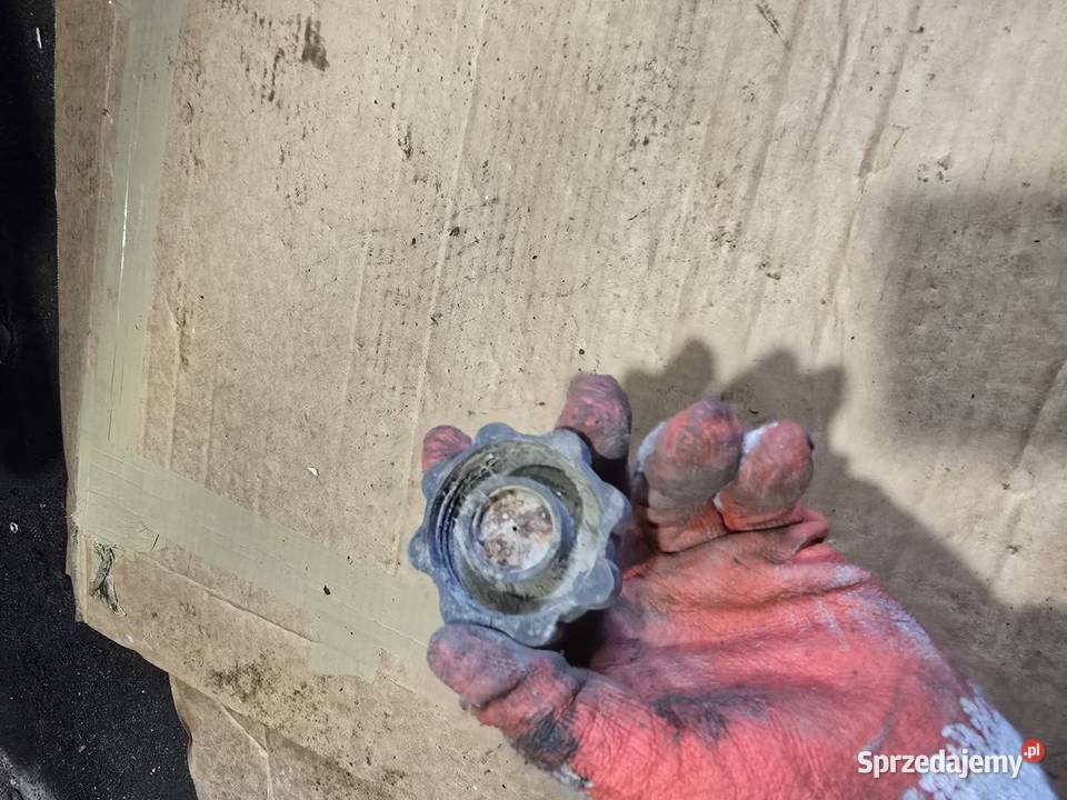 Korek baku zbiornik komar Gorzów Wielkopolski