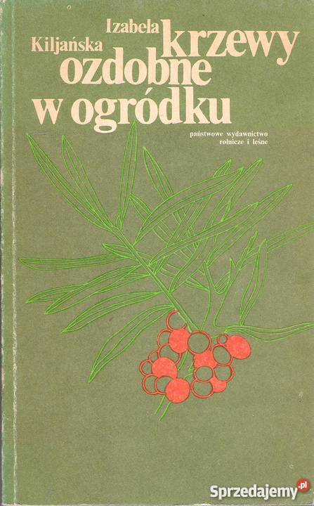 krzewy ozdobne w ogródku Izabela Kiljańska poradnik