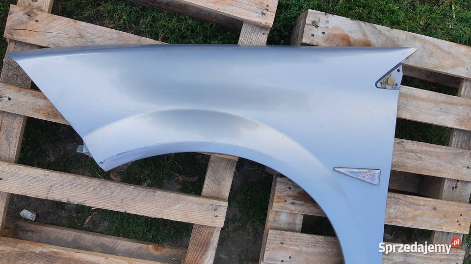 lak TEA19 błotnik lewy przedni Renault Megane II Dębno