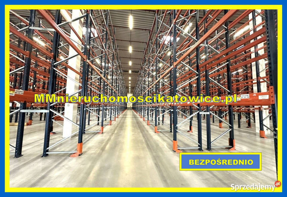 Halae do wynajęcia Katowice A4