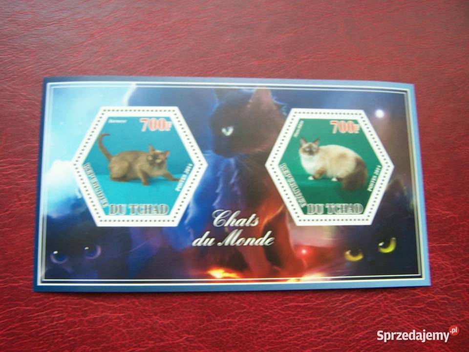 Czad 2014 MNH Fauna Zwierzęta Koty Tychy