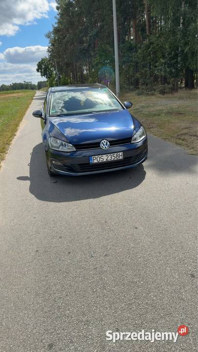 Volkswagen Golf VII 16 TDI 115 Świeca sprzedam