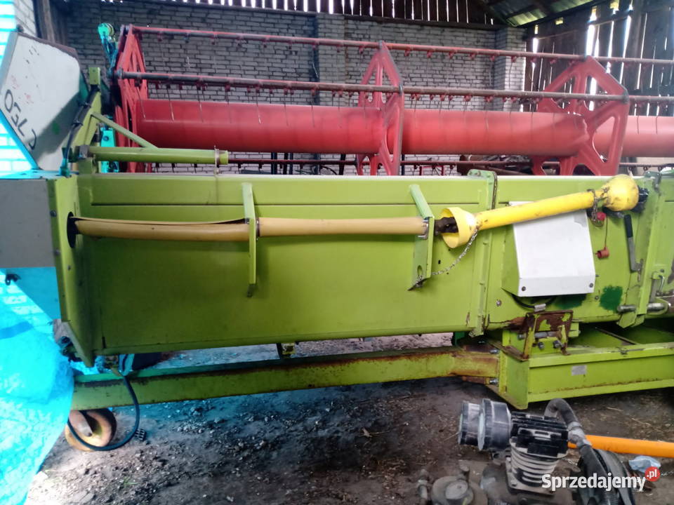 Heder do Claas lexsion Chełm