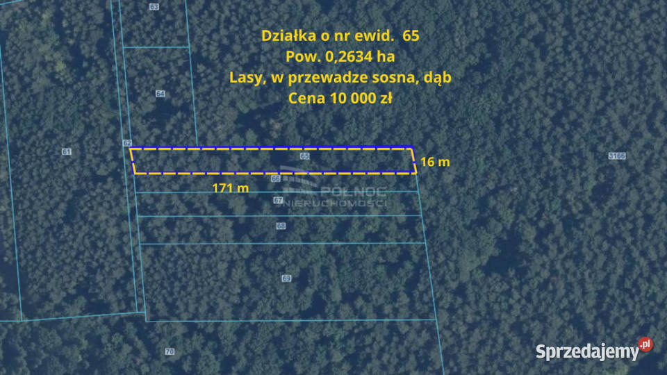 Działki rolne Wola Wereszczyńska gmina Urszulin Nieruchomości lubelskie