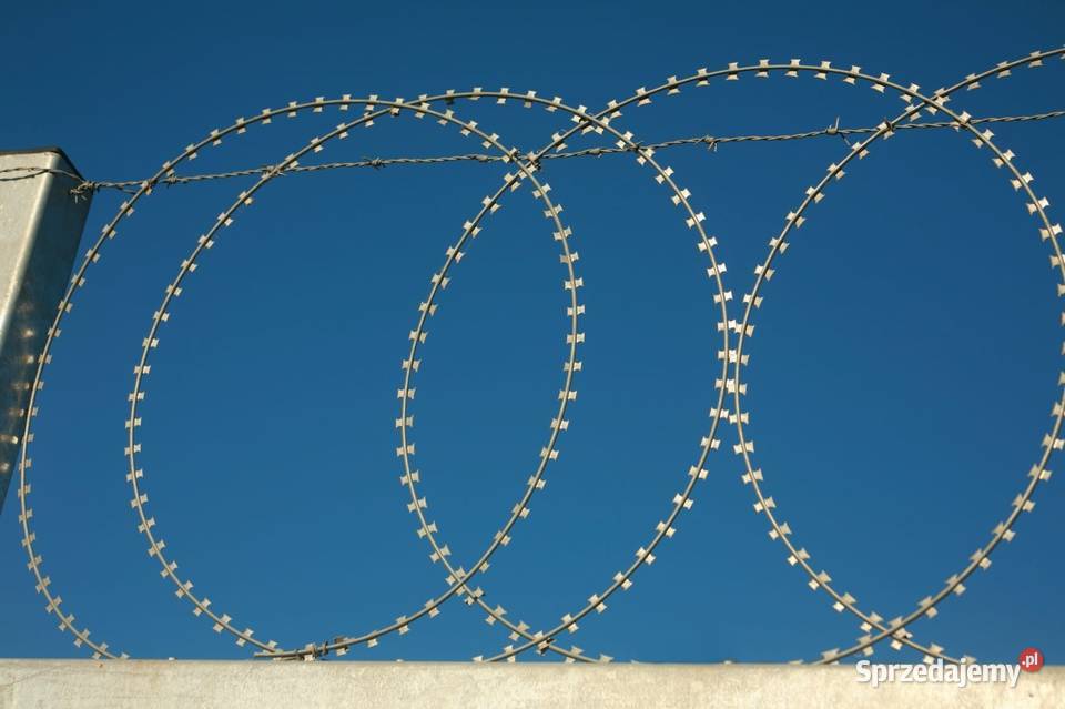 Zasieki płaskie z drutu ostrzowego 900 mm Pozostałe