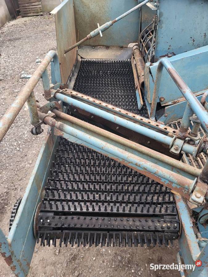 Kombajn do ziemniaków cebuli Bolko Z 643 Bolek Osięciny