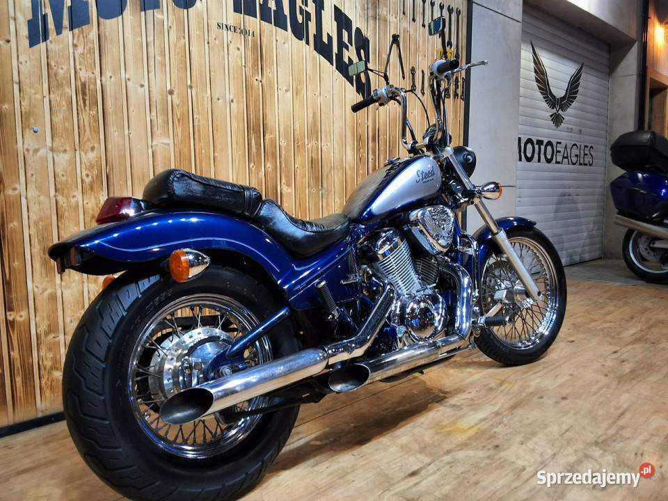 Honda Shadow HONDA XLV 600 STEED limitowana Rok produkcji 1989 wielkopolskie Stare Miasto sprzedam