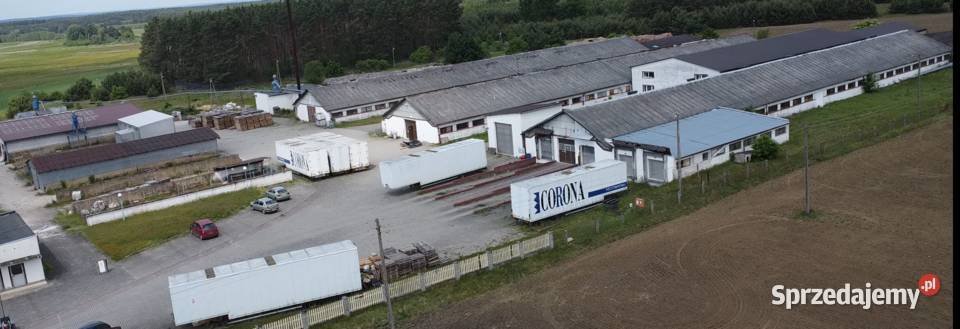Syndyk sprzeda budynki urządzenia prawo Gubin