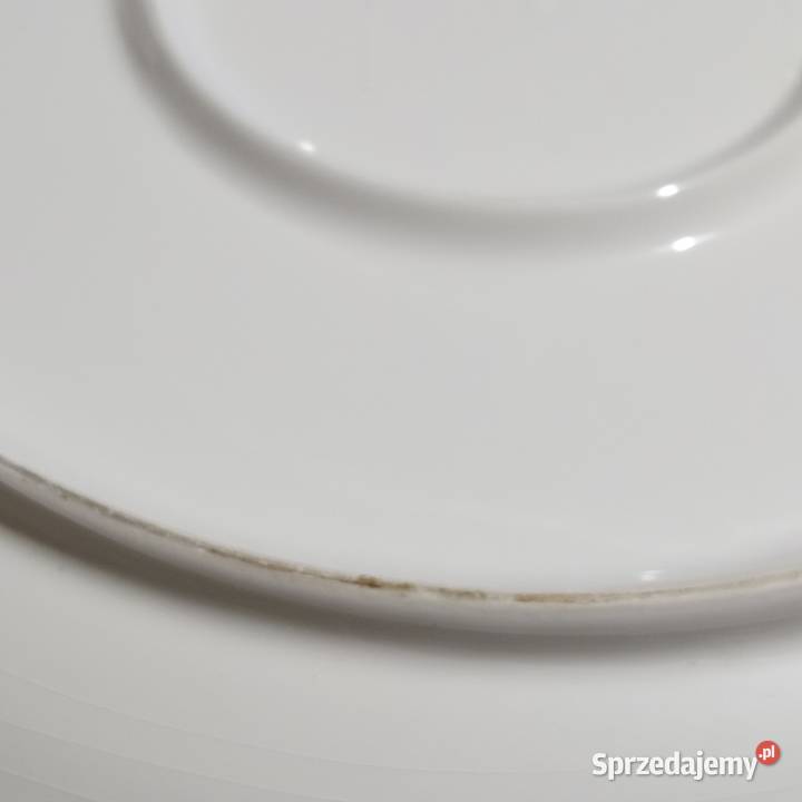 Zabytkowe talerze do pizzy CERAMICA TERNANA Made