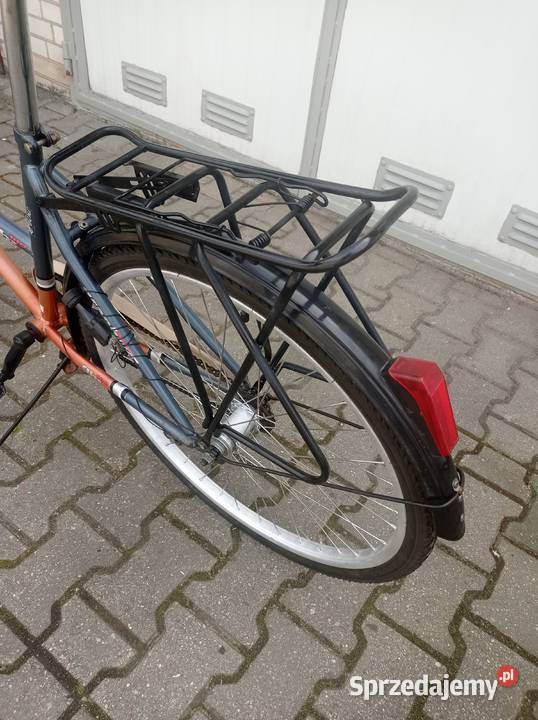 Damka Graphite Focus 26 Lublin