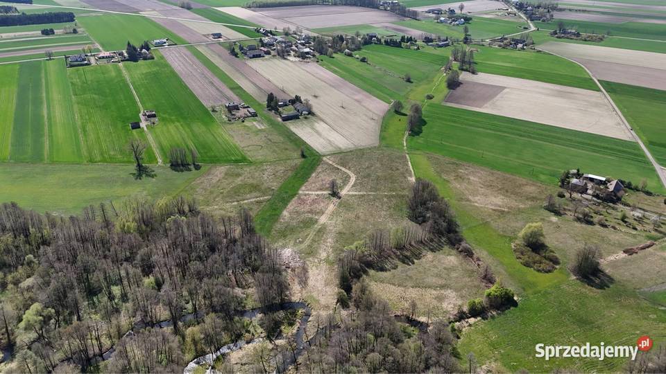 Sprzedam siedlisko Sprzedaż Leśnica