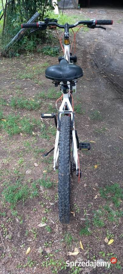 Rower MTB