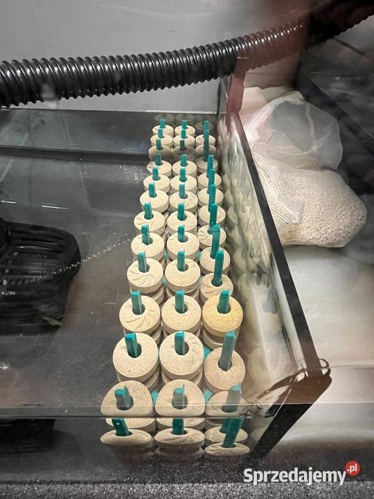 Stojak 1x1 kule NanoTech Maxspect Rybnik