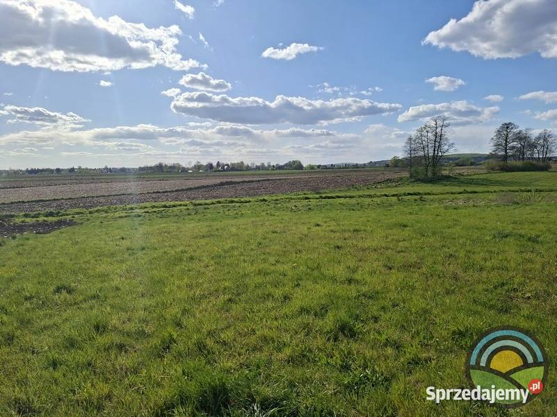 Facimiech gm Skawina działka rolna 3100 m2 3100m2