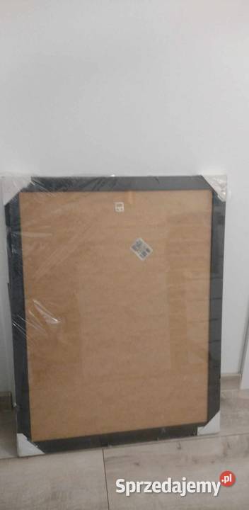 OBRAZ ZEBRY 60X80 NOWY czarny mazowieckie Legionowo