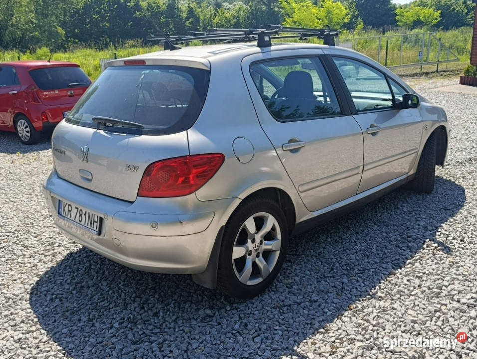 Peugeot 307 Krajowy benzyna 16 klimatyzacja II Zarejestrowany w Polsce Dulowa sprzedam