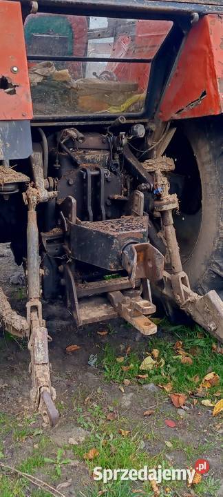 Zetor 8011 Dębogórze