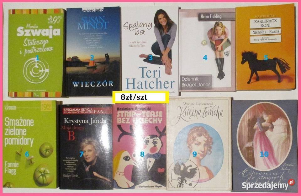 Dziennik Bridget Jones HFielding literatura Łódź sprzedam