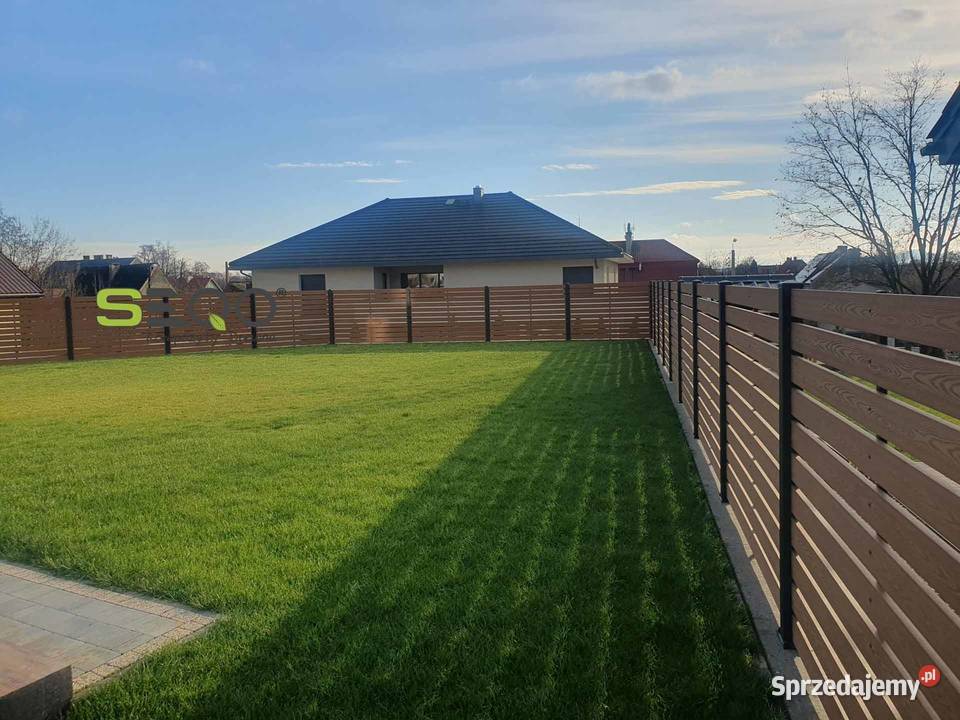 SZTACHETA KOMOROWA SEQO BB80H20 ze słojami