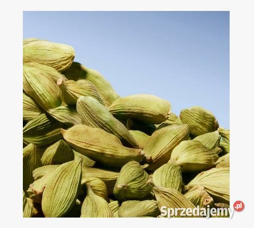 Perfumy męskie Azzaro Wanted 100 ml Dla mężczyzn Białystok