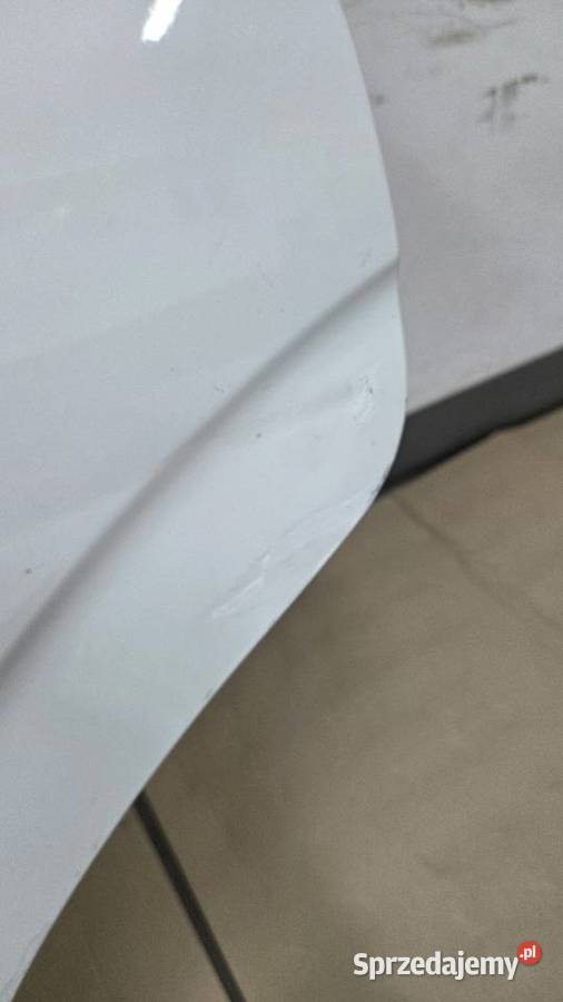 Drzwi Lewe przód tył Seat Leon 2 lift LB9A Zabrze