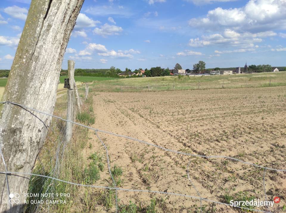 Działka w Bledzewie 27ar z warunkami zabudowy Bledzew sprzedam