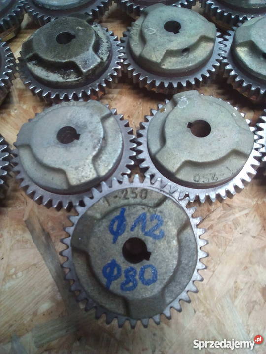 Koło zębate ze sprzęgłem wielkopolskie Leszno sprzedam