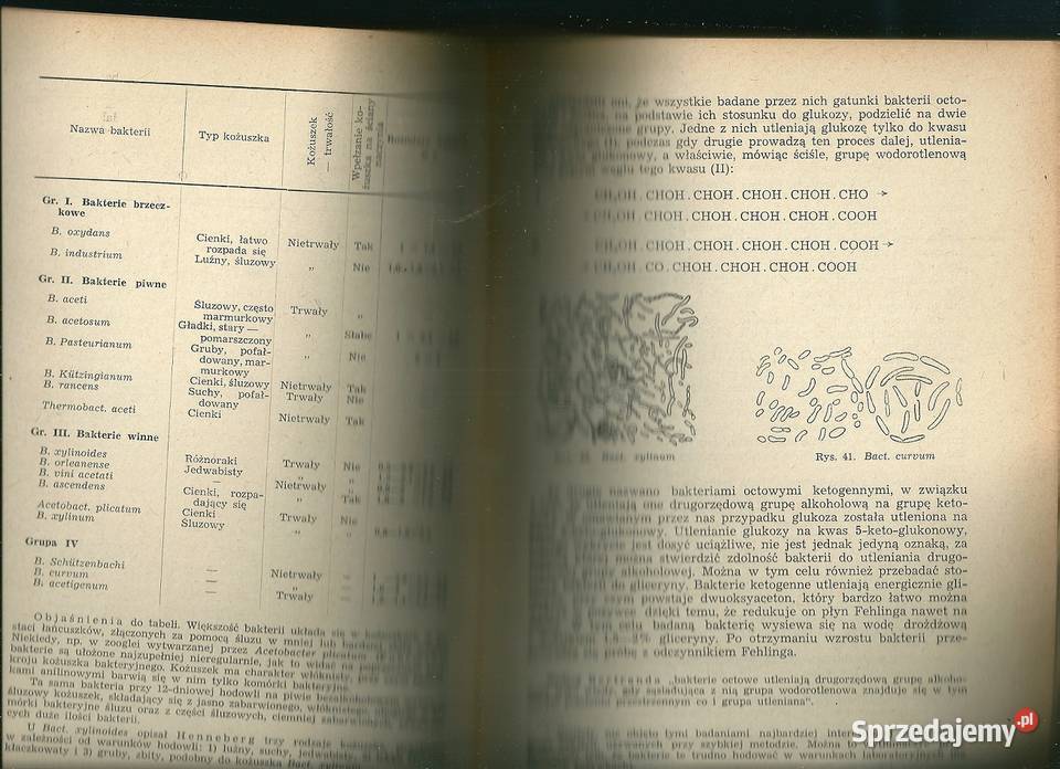 Mikrobiologia techniczna W Szaposznikow łódzkie Łódź sprzedam