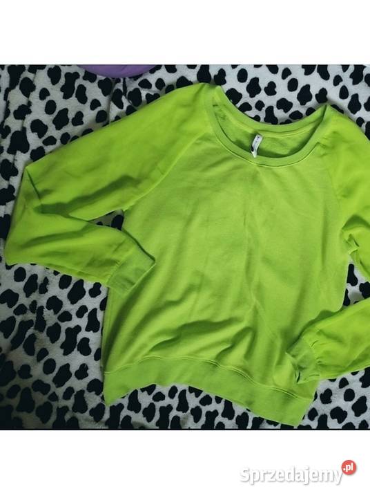 Bluza Nowa xss YORKER