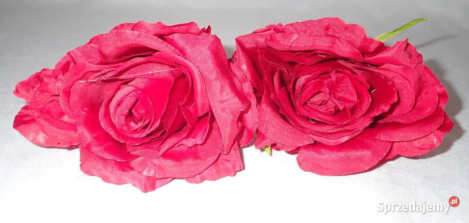 Róże rozwinięte różne kolory 1 śr 115 LA623 Siewierz sprzedam