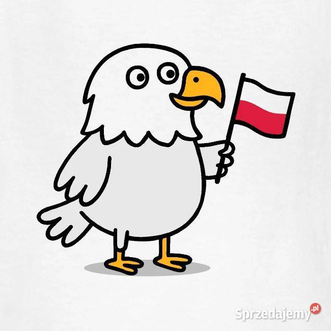 Koszulka dziecięca patriotyczna Polska Orzełek z Kraków sprzedam