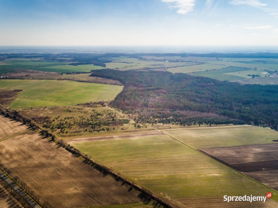 Działki na granicy BaczynaMarwice miejscowy plan budowlana lubuskie Baczyna
