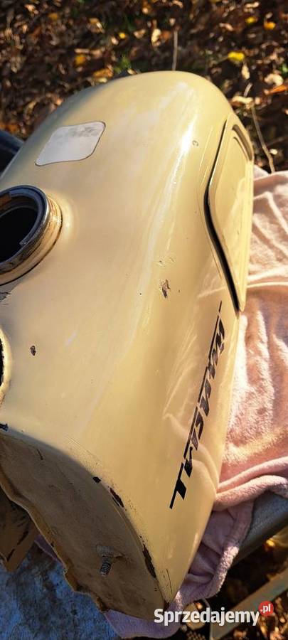 Bak mz trophy małopolskie Bochnia